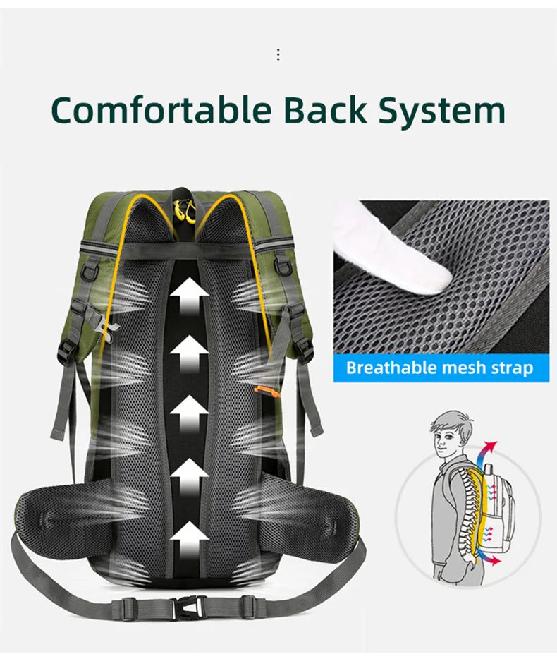 Travel Backpack