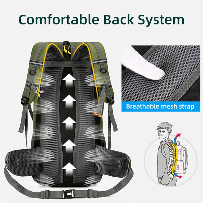 Travel Backpack